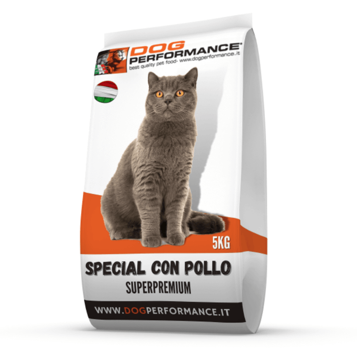Special con Pollo