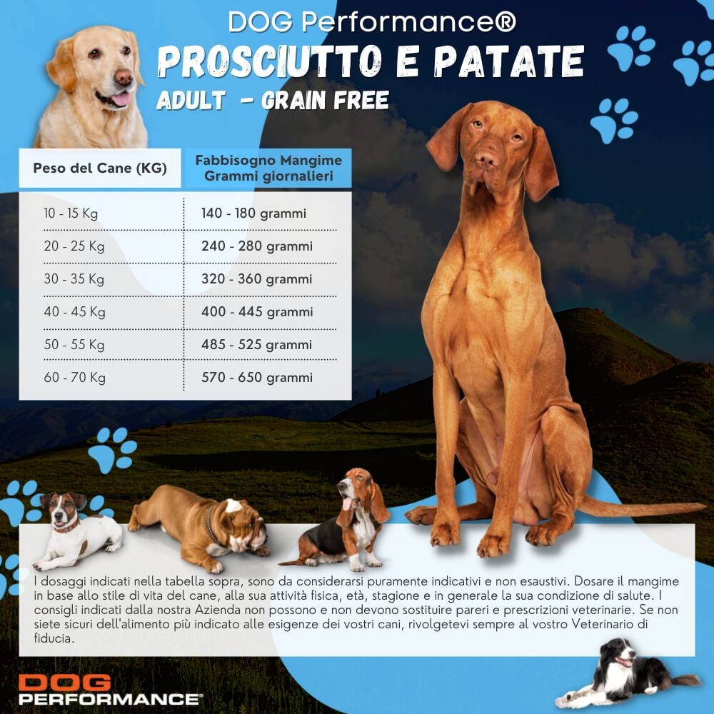 Duetto - Snack per Cani - per il Mantenimento di un Intestino Sano - Patata  e Inulina - Petformance