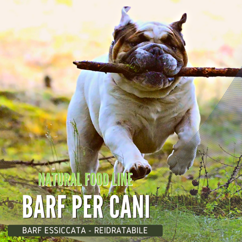 Kerbl Snack Orecchie Di Maiale Per Cani - Spuntino Naturale Da Masticare, 400g - Foto 10