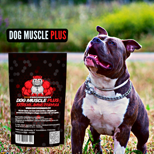 DOG MUSCLE PLUS - Extreme Amino Formula