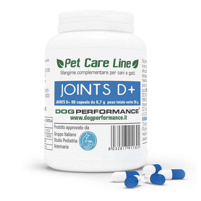 Joint D+