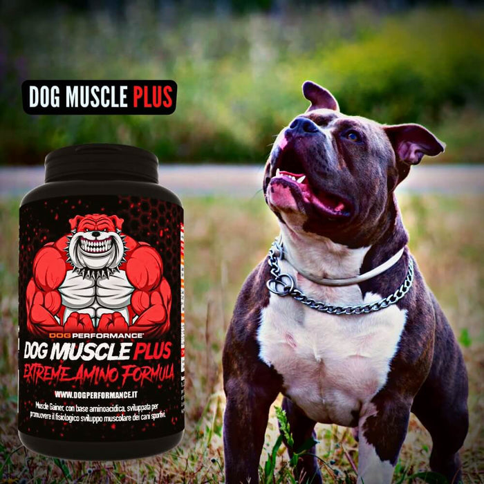 DOG MUSCLE PLUS - Extreme Amino Formula