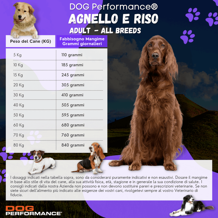Adult Agnello e Riso - 15Kg